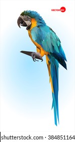 Loro azul y amarillo, macaw. Ara brasileña.  Gran ave tropical silvestre, Parrot sentado en una rama de madera sobre un fondo azul borroso. Animales en el zoológico. Diseño de estilo poligonal. 