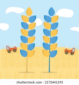 Blue and yellow Ukaine Ears of Wheat plant spikelets icon set on nature background with tractors. Flat vector illustration.