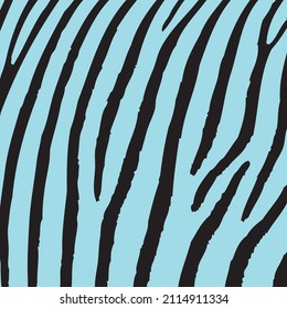 Blue zebra pattern for background, vector