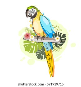  Blue-and-yellow macaw,  Ara ararauna, vector illustration