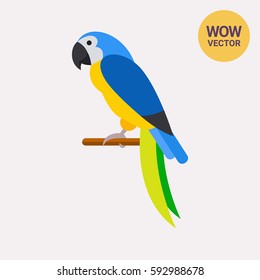 Blue-and-yellow macaw icon