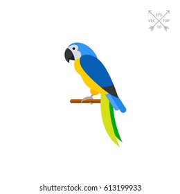 Blue-and-yellow macaw icon
