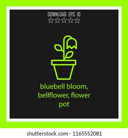 bluebell bloom, bellflower, flower pot vector icon