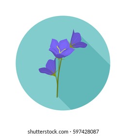 Bluebell color flat icon for web and mobile design