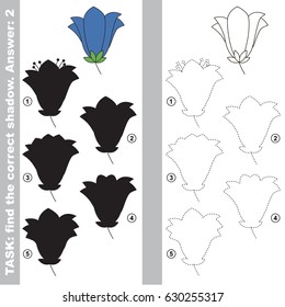Bluebell with different shadows to find the correct one, compare and connect object with it true shadow, the educational kid game with simple gaming level.