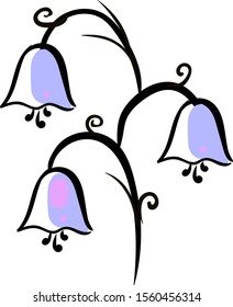 Bluebell drawing, illustration, vector on white background.