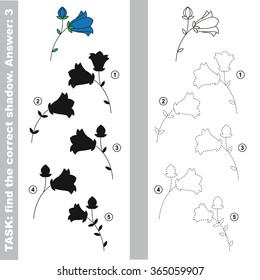 Bluebell. Find true correct shadow.