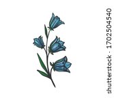 Bluebell flower. Beautiful spring flower isolated on white background. Blue bell in bloom, vector floral illustration. 
