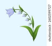 Bluebell flower. Floral design for postcard, poster, ad, decor, fabric and other uses. Vector isolated illustration of harebell flower.