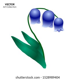 Bluebell Flower Isolate, Vector illustration design element
