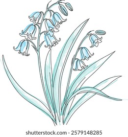 Bluebell Flower Line Art with Watercolor Style Illustration