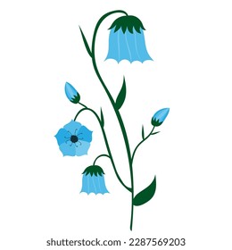 Bluebell flower on white background. fairy flowers, witches thimbles, cuckoo's boots clip art