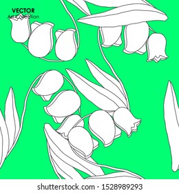 Bluebell Flower Seamless Pattern, Vector illustration design element