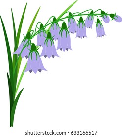 Bluebell Flowers.