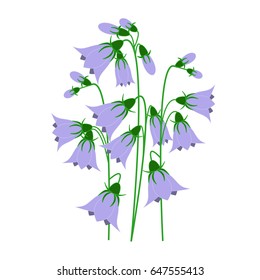 Bluebell flowers.