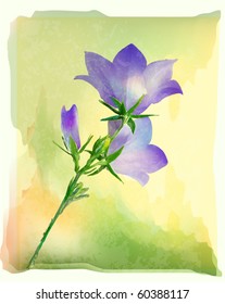 bluebell flowers. eps10