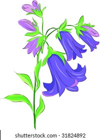 bluebells