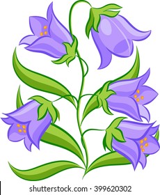Bluebells on white background  