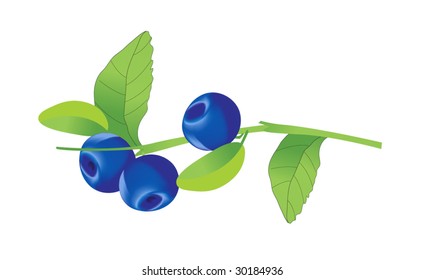 blueberries