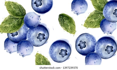 Blueberries background Vector watercolor. Summer delicious fruits card