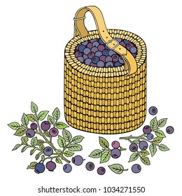 Blueberries in basket. Cartoon vector hand drawn abstract illustration