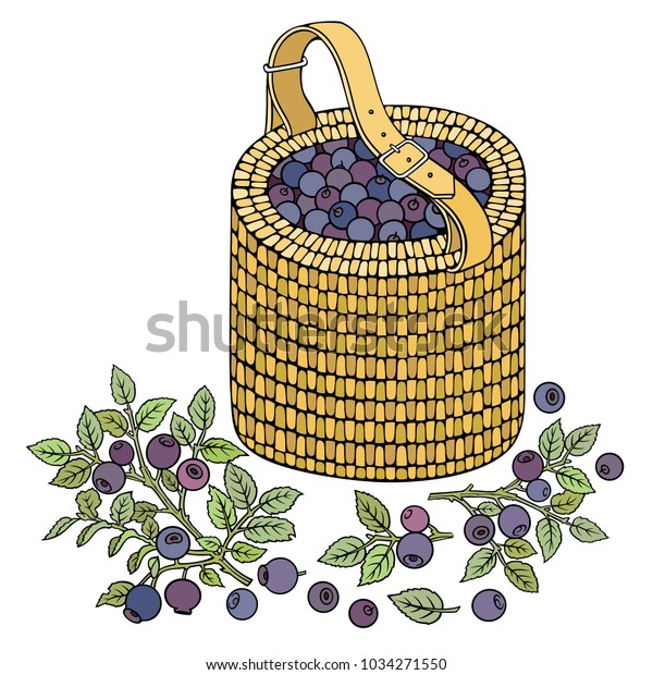 Download Blueberries Basket Cartoon Vector Hand Drawn Stock Vector ...