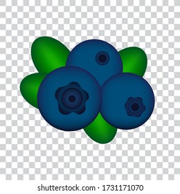 Blueberries, berries with leaves, vector illustration.