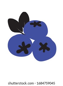 blueberries with black leaf, illusztration