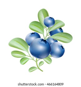 Blueberries. Blue berries. Big crop. Garden plants. Leaves on the branch. Sweet berry. Icon for the game. Vector plant. Botany. Bunch of berries.