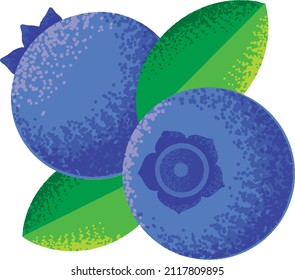 Blueberries. Blueberry illustration. Food and Drink. print on tote bags, mugs, bottles, posters, flyers, cards, books.