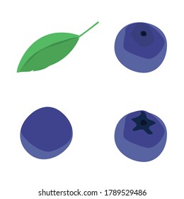 Blaubeeren und Blaubeerblätter einzeln auf weißem Hintergrund. Frische Waldbeeren. Vektorgrafik 