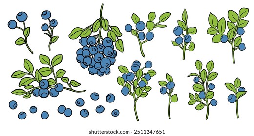 Blueberries ícones de desenho animado conjunto de vetor. Ilustração de alimentos de frutas coloridas para design de produto agrícola, loja vegetariana de rótulo de mercado.