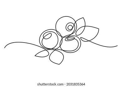 Arándanos en forma de dibujo en línea continua. Grupo de frutos de arándano azul y hojas esbozos lineales negros minimalistas aislados en fondo blanco. Ilustración del vector