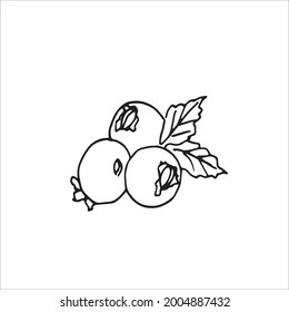 Blaubeeren auf Vektorgrafik