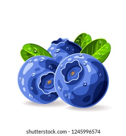 Blueberries with drops of water and leaves on white. Vector illustration. No gradients. 