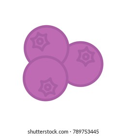 Blueberries flat icon