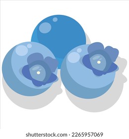blueberries flat illustration with shadows of blueberries. flat design, objects.