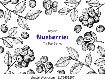 Blueberries frame vector illustration. Hand drawn berries. Vintage style design. Organic food, healthy food.