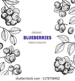 Blueberries frame vector illustration. Hand drawn berries. Vintage style design. Organic food, healthy food.