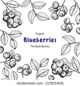 Blueberries frame vector illustration. Hand drawn berries. Vintage style design. Organic food, healthy food.