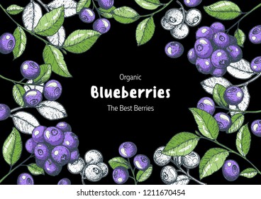 Blueberries frame vector illustration. Hand drawn berries. Vintage style design. Organic food, healthy food.