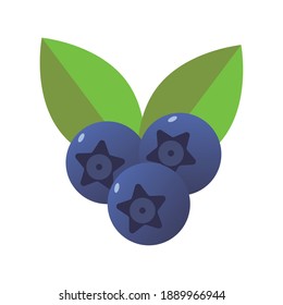 blueberries fresh delicious fruits isolated style icons vector illustration design