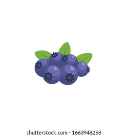 Blueberries Fruit Flat Design, Vector Illustration.