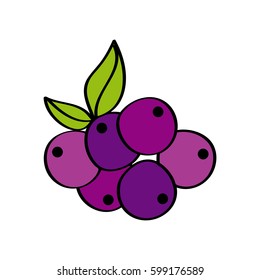 blueberries fruit icon over white background. colorful design. vector illustration