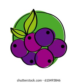 blueberries fruit icon over white background. colorful design. vector illustration