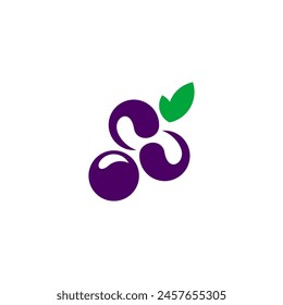 blueberries fruit logo design vector