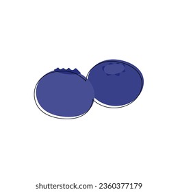 Blueberries hand drawn. Abstract shape fruit inspiration. Vector illustration, flat design