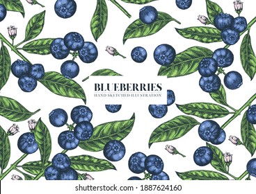 Arándanos azules. Fondo de ilustración dibujado a mano. Arándanos salvajes. Diseño vectorial con frutas, flores, bocetos de hojas. 