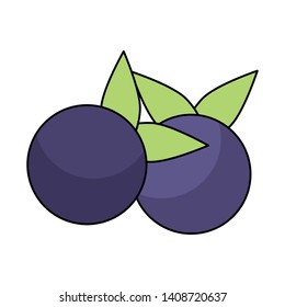 blueberries icon cartoon isolated vector illustration graphic design
