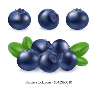 Blueberries icon set. Realistic 3d vector image